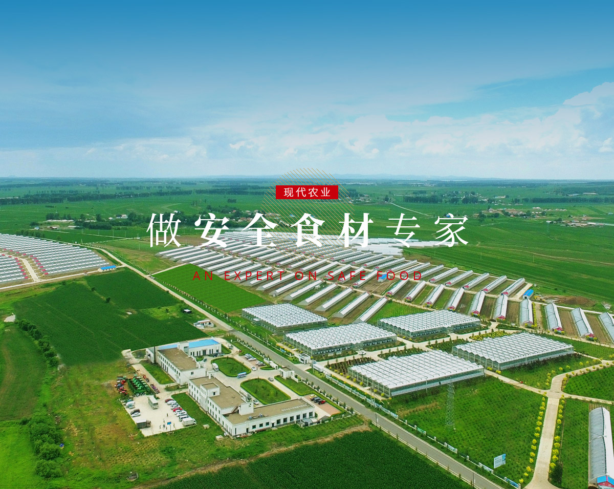 banner5_p9615812 suncitygroup太阳集团·(中国)首页登录